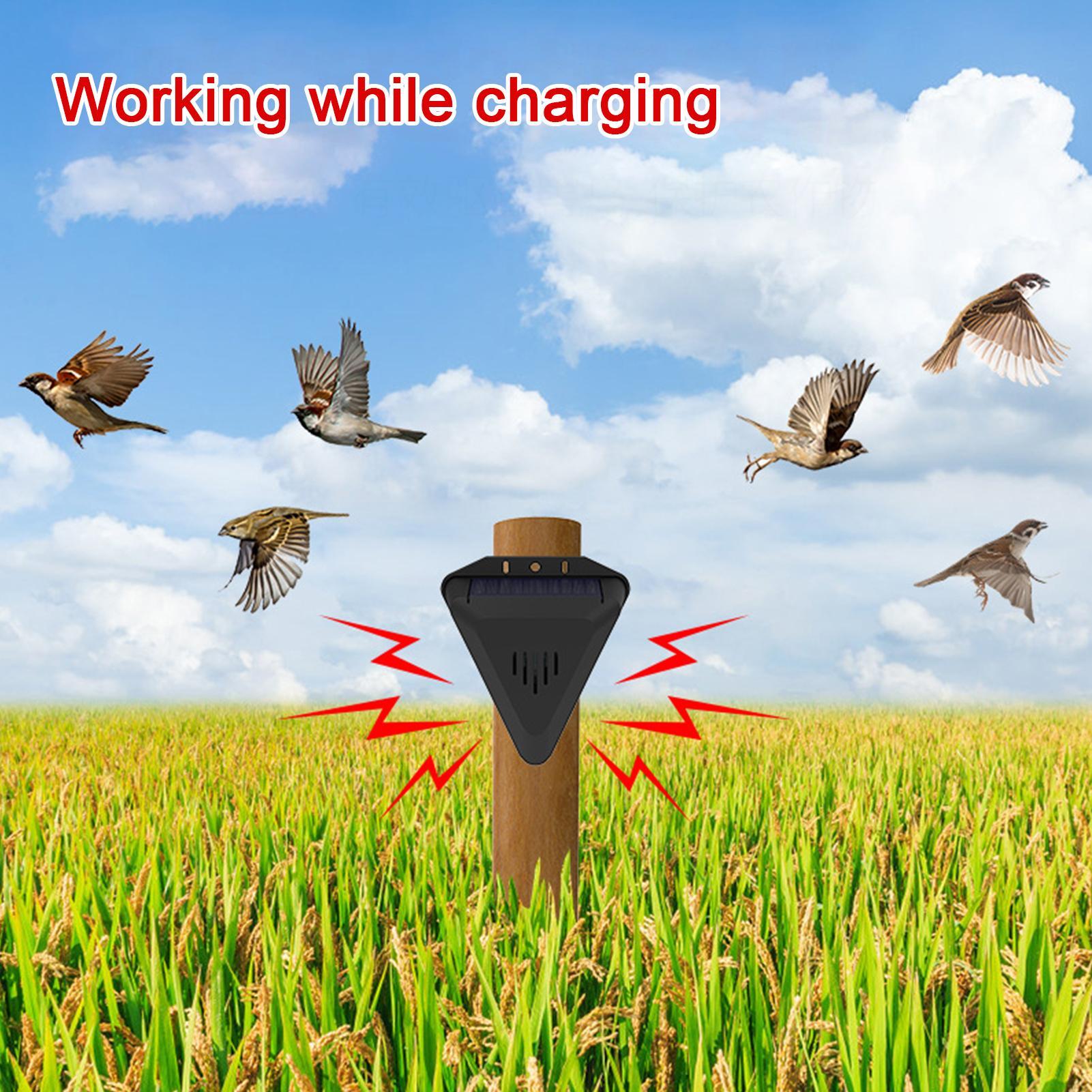 جهاز طارد للطيور يعمل بالطاقة  - مراجعة Outdoor Power With Timer وسعره